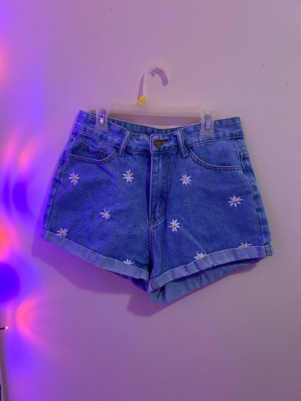 Embroidered Cottagecore Daisy Jean Shorts